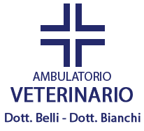 veterinario rimini