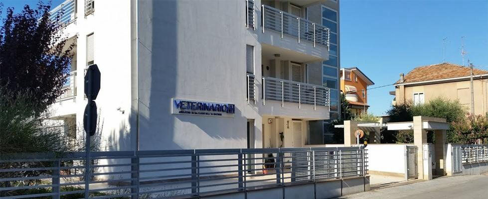 veterinario rimini