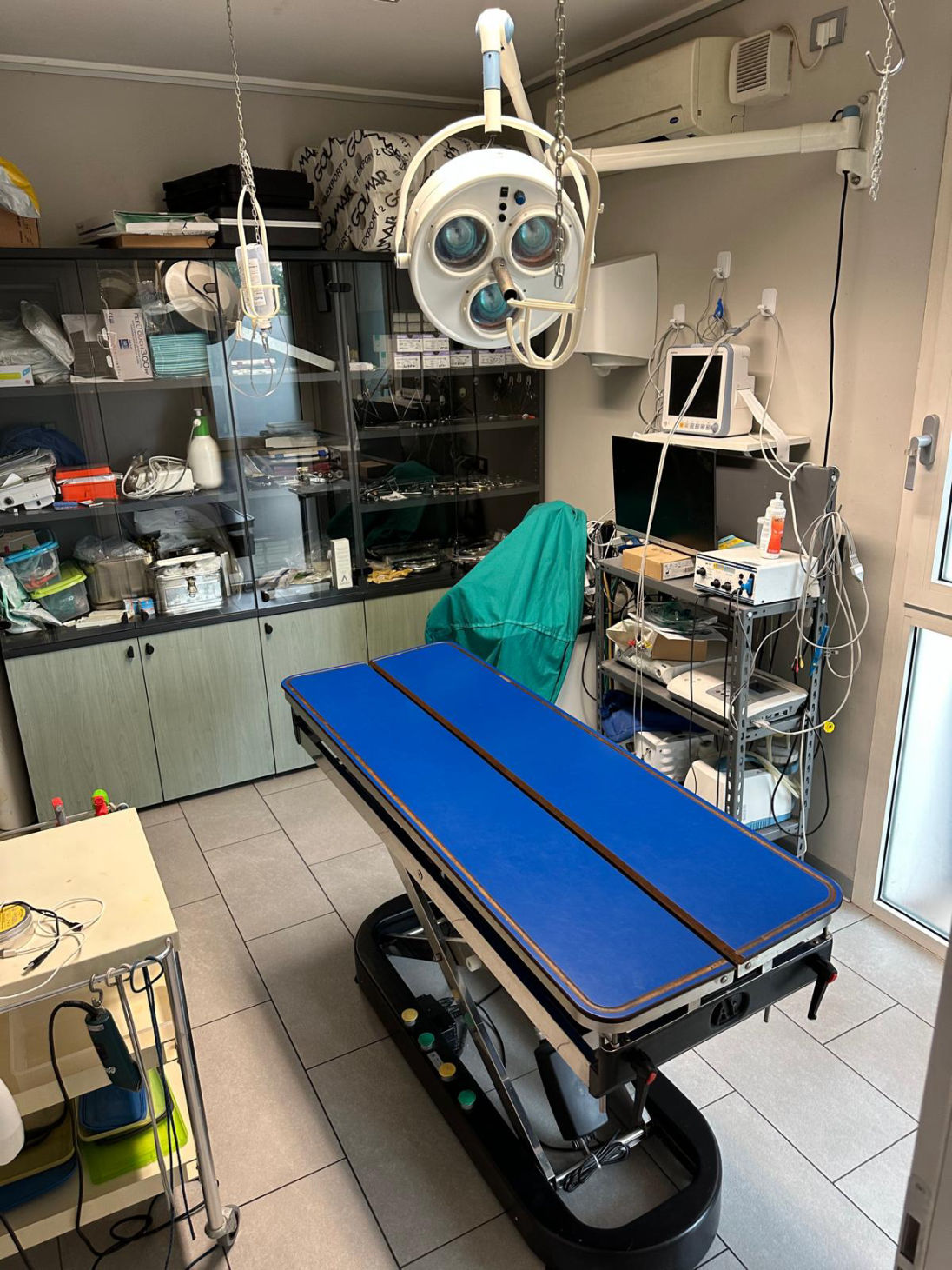 veterinario rimini